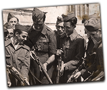 GFX_report_event_spr_falange_troops2